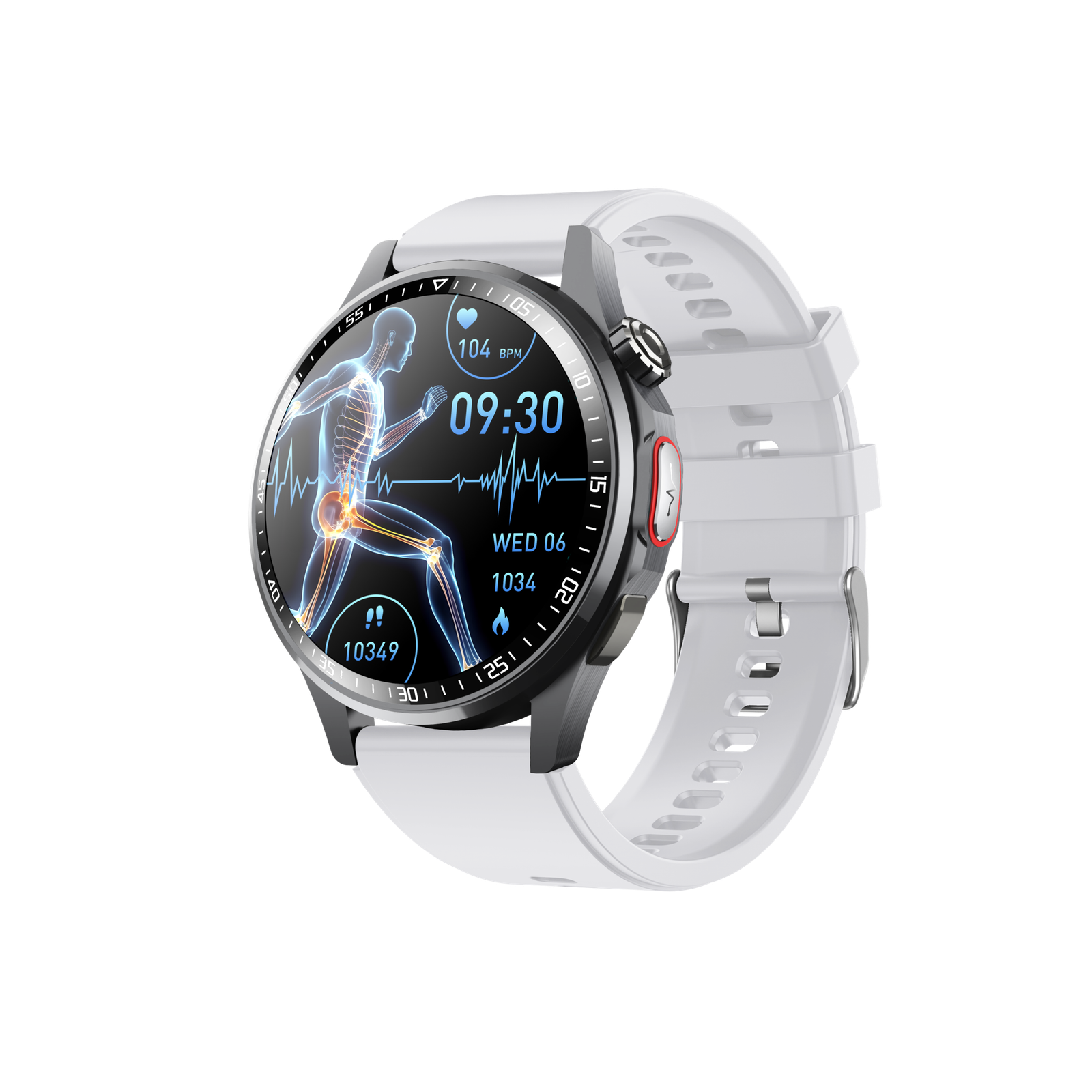 F240 - Image 5